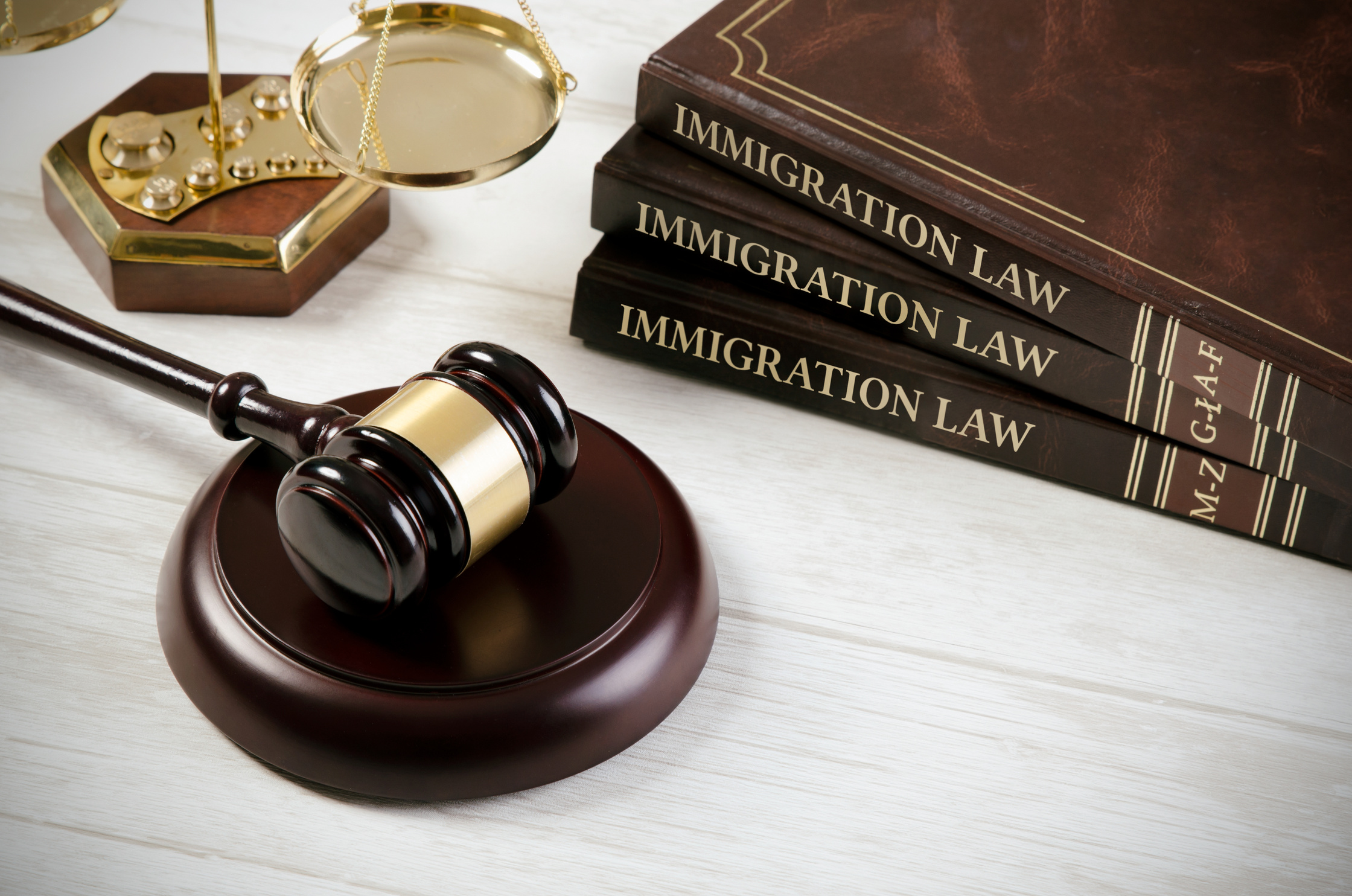 Immigration Law Books and Judge's Gavel